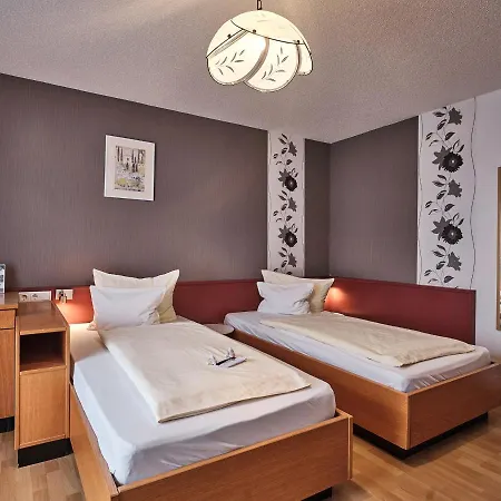 Ξενοδοχείο Tiptop Am Hochrhein 3*