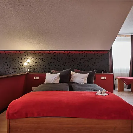 Tiptop Am Hochrhein 3* Bad Sackingen